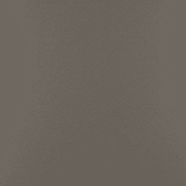 Champagne Silver